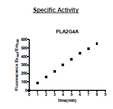 PLA2G4A Human Recombinant Protein