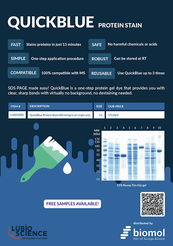 QuickBlue Protein Stain and AcuteBand Pre-stained Protein Ladder