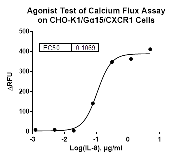 CHO-K1/Galpha15/CXCR1