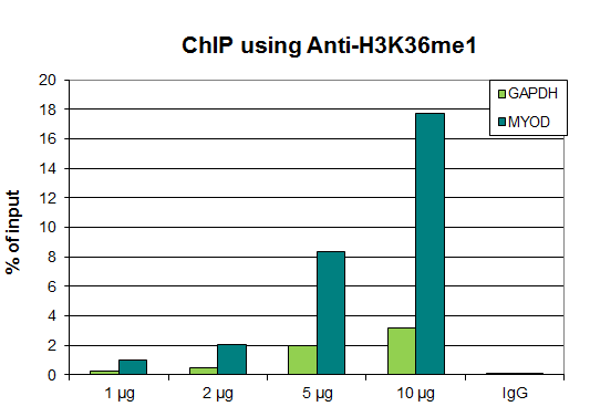 Anti-H3K36me1