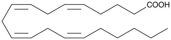 Arachidonic Acid MaxSpec(R) Standard