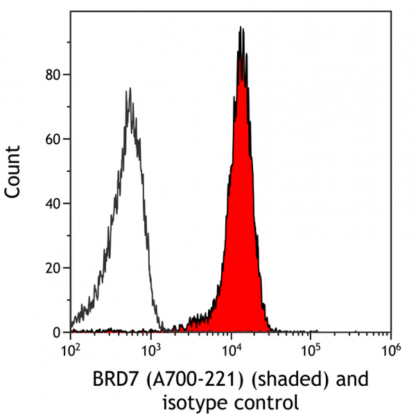 Anti-BRD7 Recombinant Monoclonal