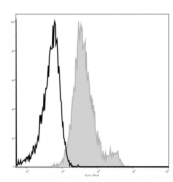 Anti-CD1d (mouse), clone 19G11, GenieFluor 488-conjugated
