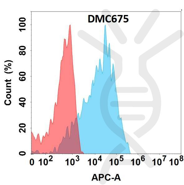Anti-CDH6 antibody(DMC675), IgG1 Chimeric mAb