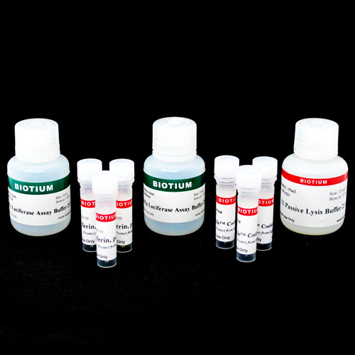 Firefly &amp; Renilla Luciferase Single Tube Assay Kit