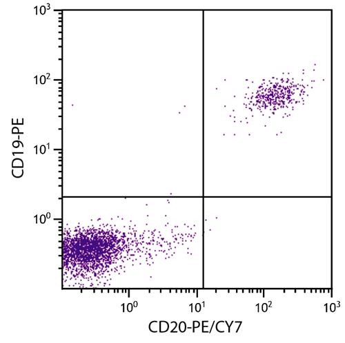 Anti-CD20 (PE-Cy7), clone B-Ly1