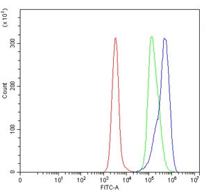 Anti-L1RE1 / LINE-1 retrotransposable element ORF1 protein