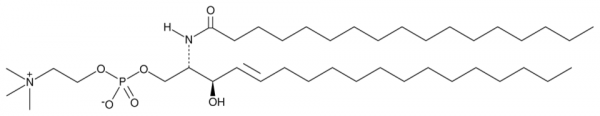 C17 Sphingomyelin (d18:1/17:0)