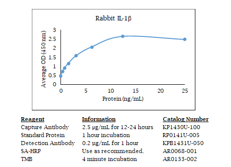 Anti-IL-1 (rabbit) beta