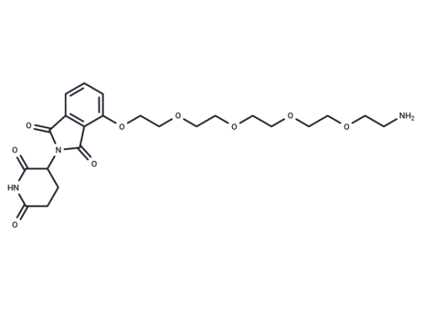 Thalidomide-O-PEG4-amine