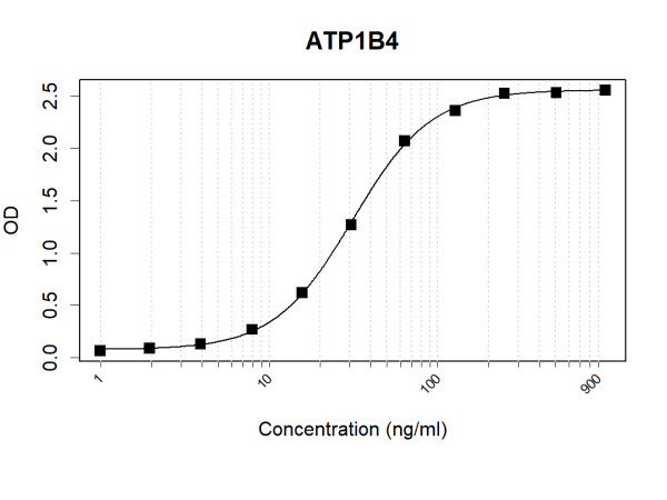 Anti-ATP1B4