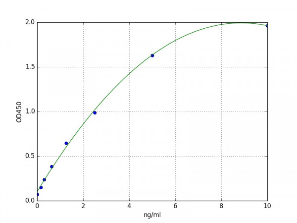 Human ILVBL / Acetolactate synthase-like protein ELISA Kit