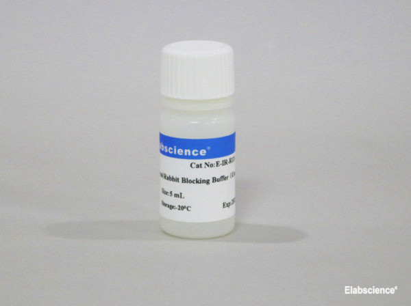 Normal Rabbit Blocking Buffer (Concentrated)