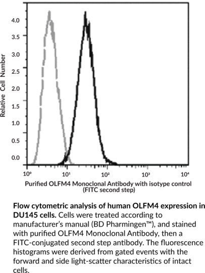 Anti-OLFM4 Monoclonal Antibody (Clone 12)