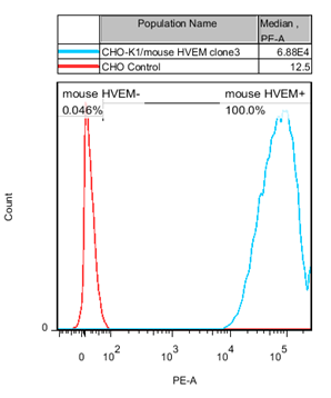 CHO-K1/mouse HVEM Stable Cell Line