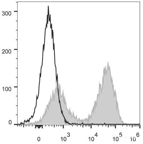 Anti-Mouse MHC II (I-A/I-E) (PerCP/Cyanine5.5 Conjugated)[M5/114], clone M5/114