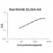 RAGE BioAssay(TM) ELISA Kit, Rat