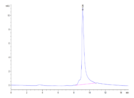 S100A9/MRP14, His, Human