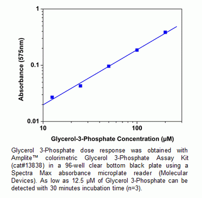 Amplite(TM) Colorimetric Glycerol 3-Phosphate (G3P) Assay Kit