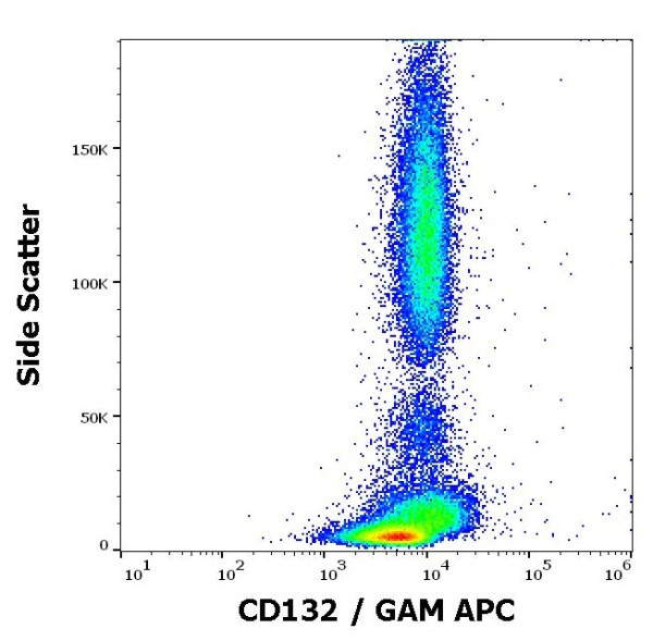 Anti-CD132 / IL2RG, clone TUGh4