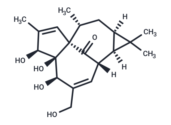 Ingenol