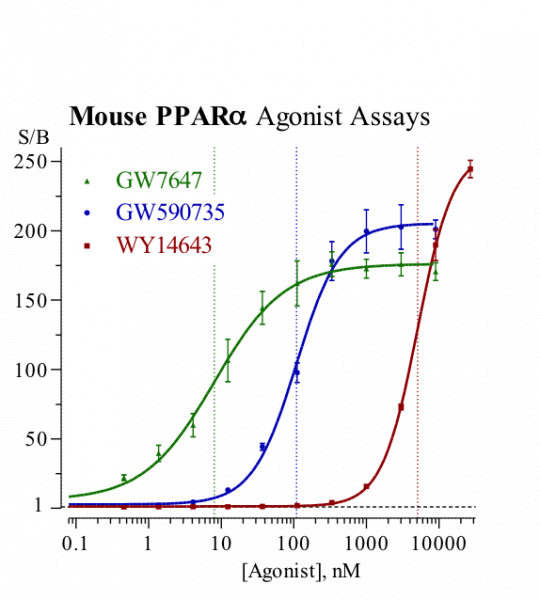 PPARalpha (mouse) Reporter Assay Kit