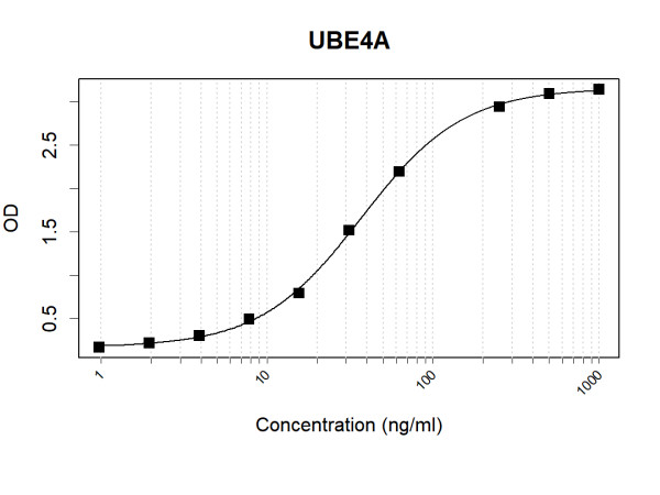 Anti-Human UBE4A Antibody Pair