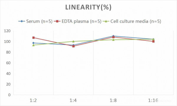 Human REG3gamma (Regenerating Islet Derived Protein 3 Gamma) CLIA Kit