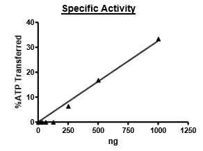 Jak2 Jh1Jh2, active human recombinant protein