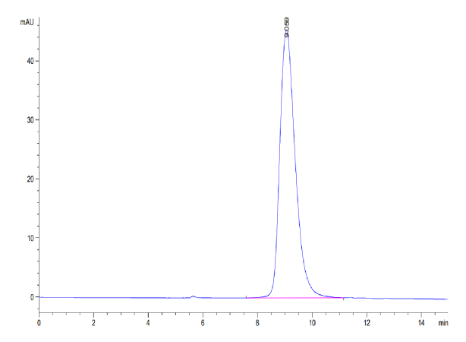 NKp46/NCR1/CD335, His, Mouse