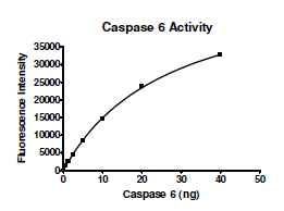 Caspase6, His-tag