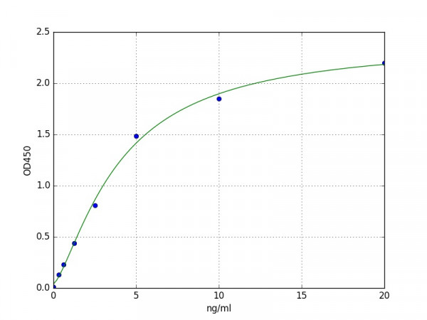 Human Synuclein Gamma ELISA Kit