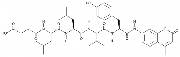 Suc-Leu-Leu-Val-Tyr-AMC