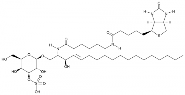 C6 Biotin 3'-sulfo Galactosylceramide (d18:1/6:0)