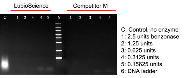 Benzonuclease, recombinantly expressed and purified, for molecular biology applications