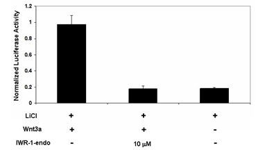 Transfection Collection(TM) : TCF/LEF Transient Pack Wnt / beta-catenin Signaling Pathway