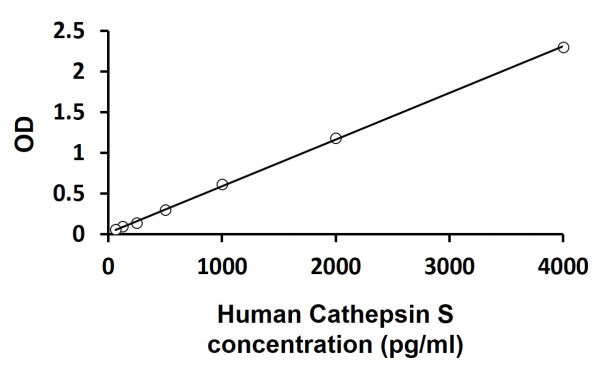 Human Cathepsin S ELISA Kit