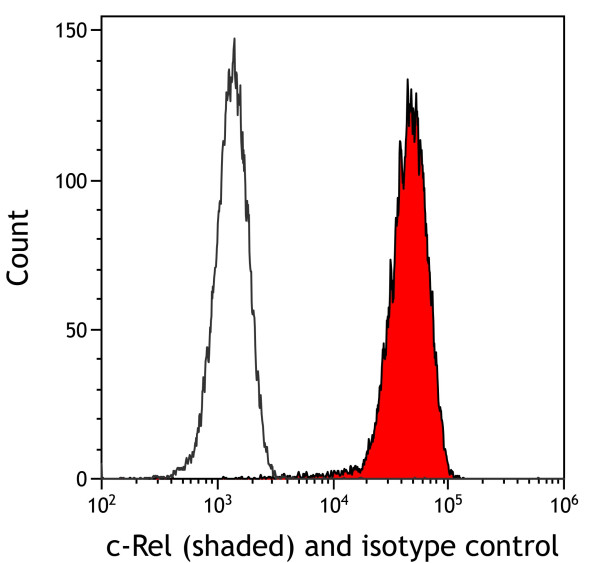 Anti-c-Rel Recombinant Monoclonal