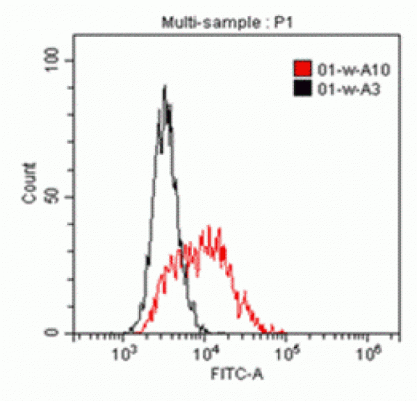 Anti-IL1RAP (Human), Azide Free Clone B-R58