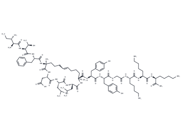 NYAD-13
