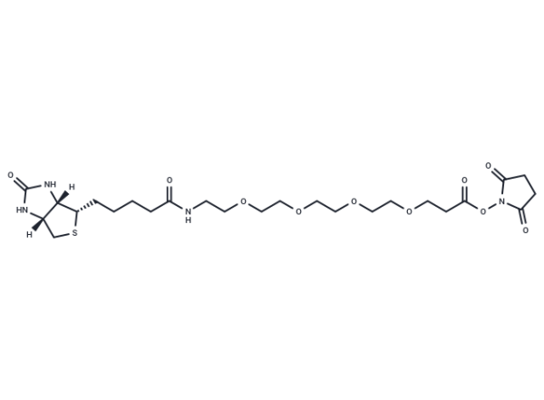 Biotin-PEG4-NHS ester
