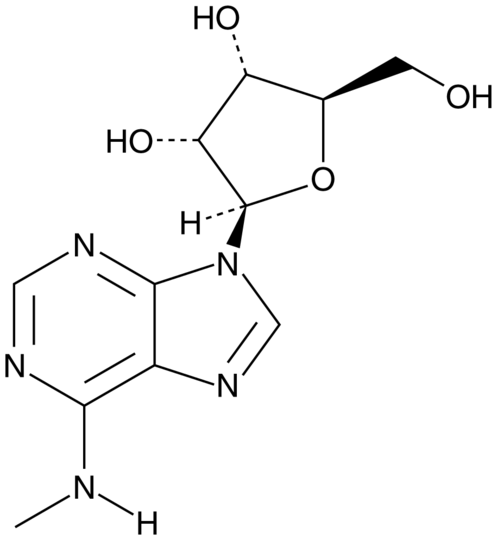 N6-Methyladenosine
