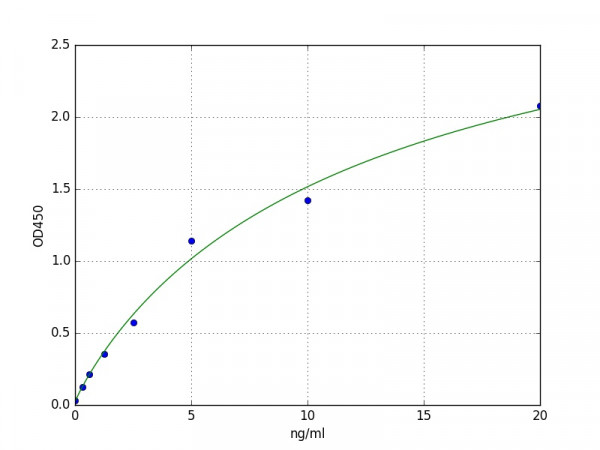 Porcine Cathepsin K ELISA Kit
