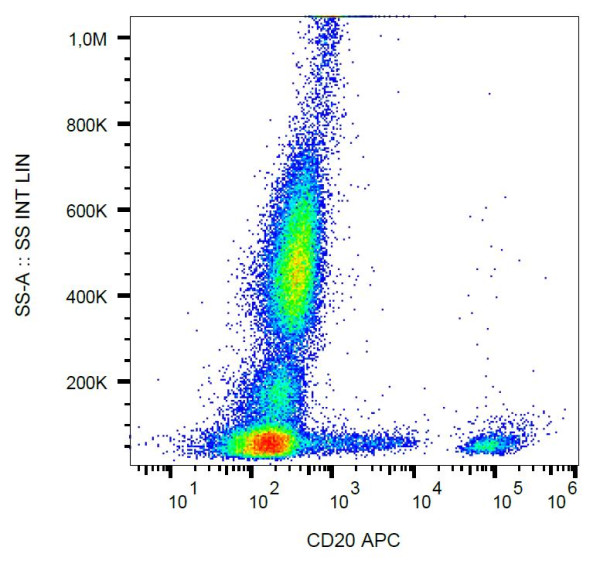 Anti-CD20, clone 2H7 (APC)