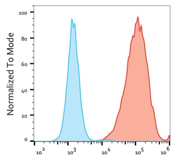 Anti-CD90, clone 5E10 (APC)