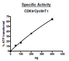 CDK9/CyclinT1, GST-tag