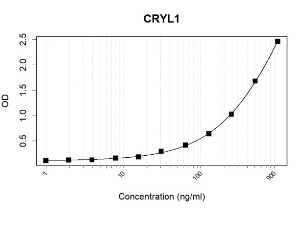 Anti-Human CRYL1 Antibody Pair