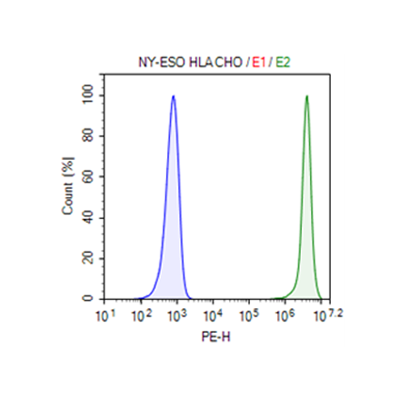 NY-ESO-1 (p157-165) HLA-A*02:01 CHO Cell Line