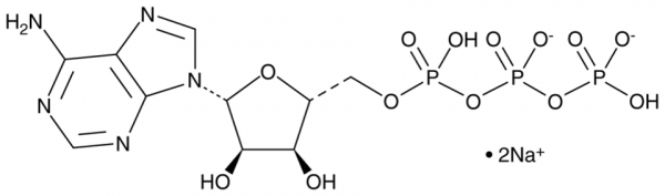 Adenosine 5&#039;-triphosphate (sodium salt)