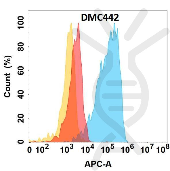 Anti-CHODL antibody(DMC442), IgG1 Chimeric mAb